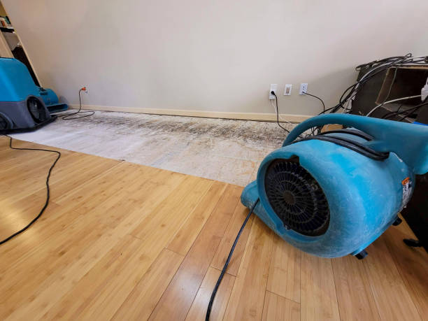 Professional Basement Flood Cleanup technician working in Black Canyon City, AZ